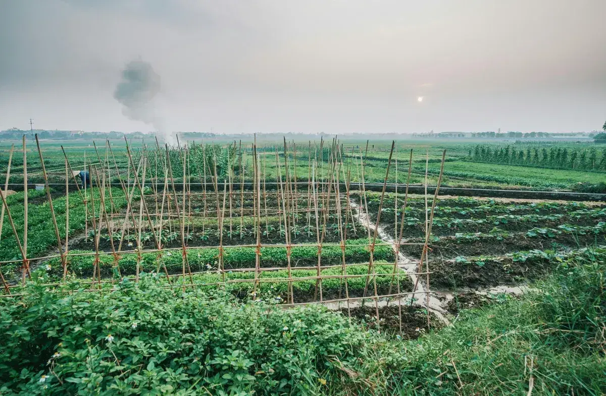 Agriculture Program
